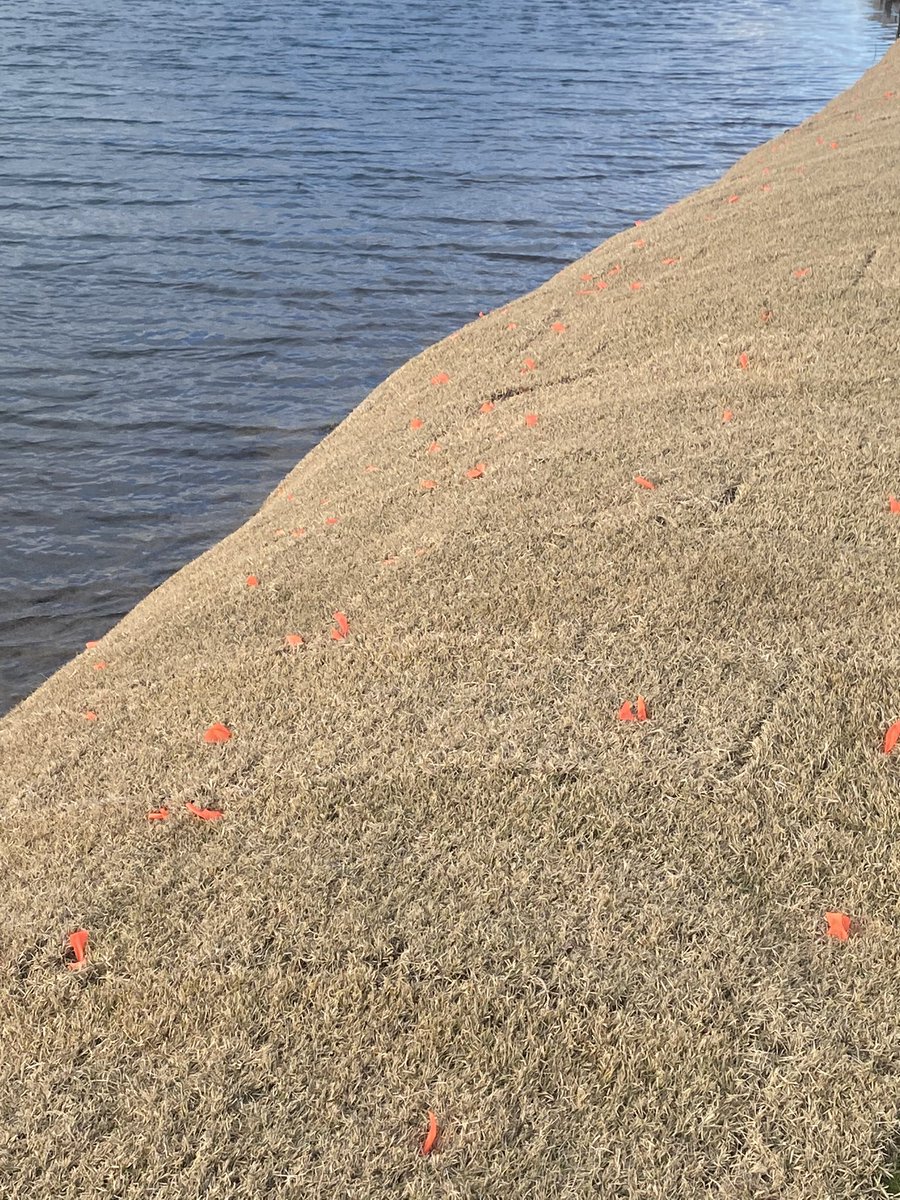 Mark Sinto tweet media