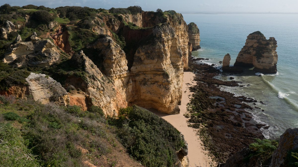 Ref_Pics's tweet image. Paint a landscape this weekend