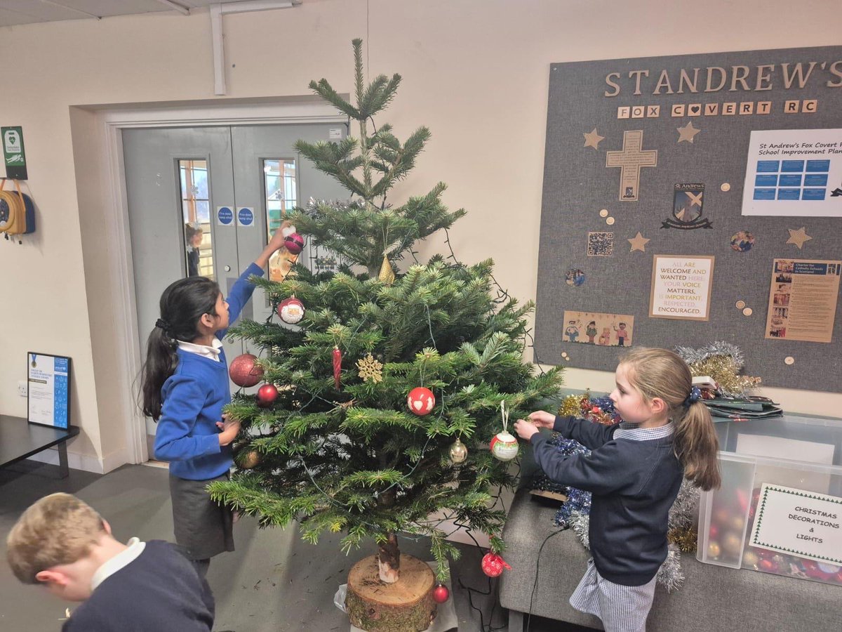 Fox Covert Primary tweet media