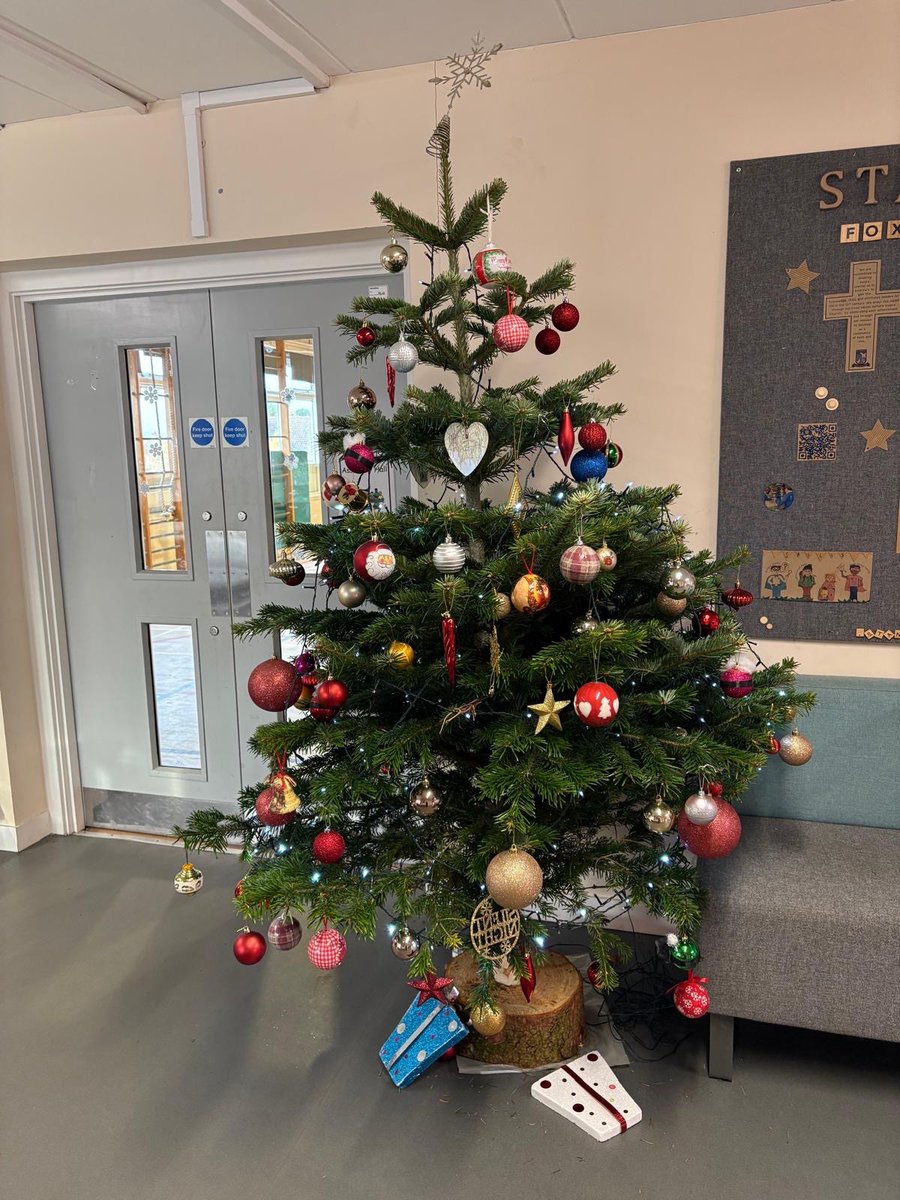 Fox Covert Primary tweet media