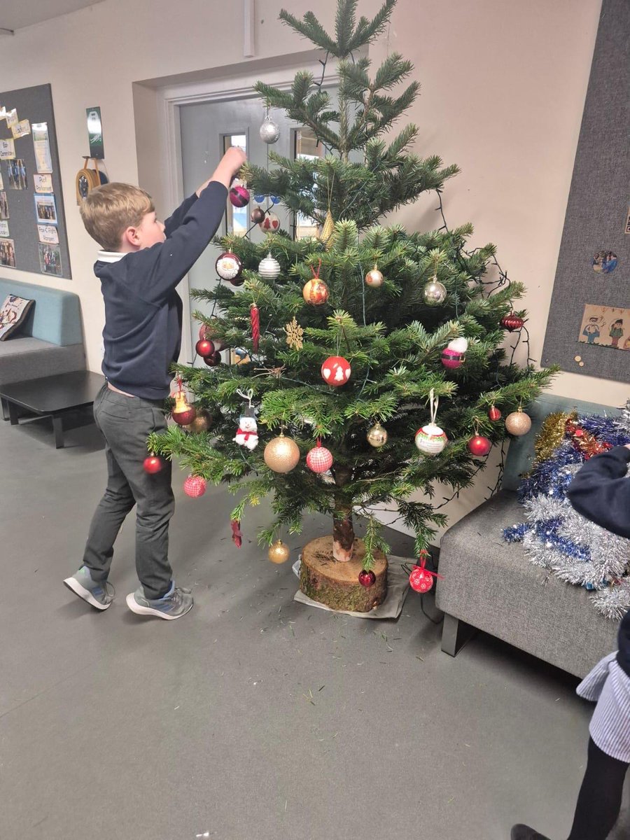 Fox Covert Primary tweet media