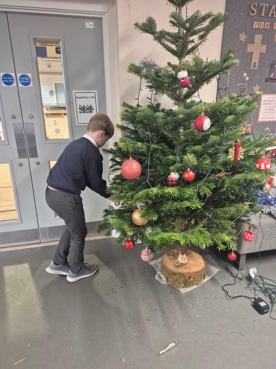 Fox Covert Primary tweet media