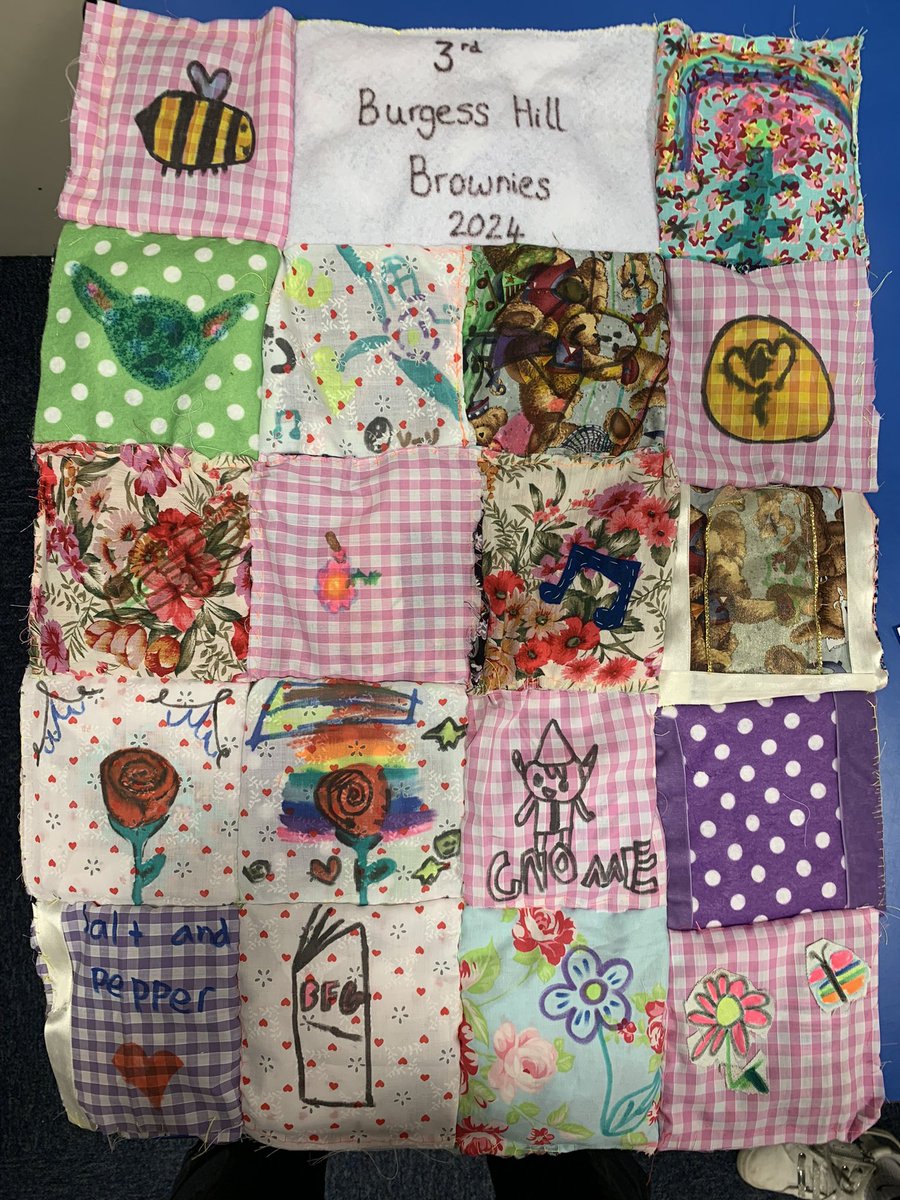 3rd Burgess Hill Brownies tweet media