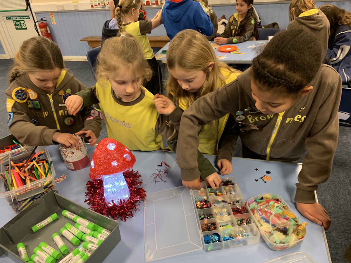 3rd Burgess Hill Brownies tweet media