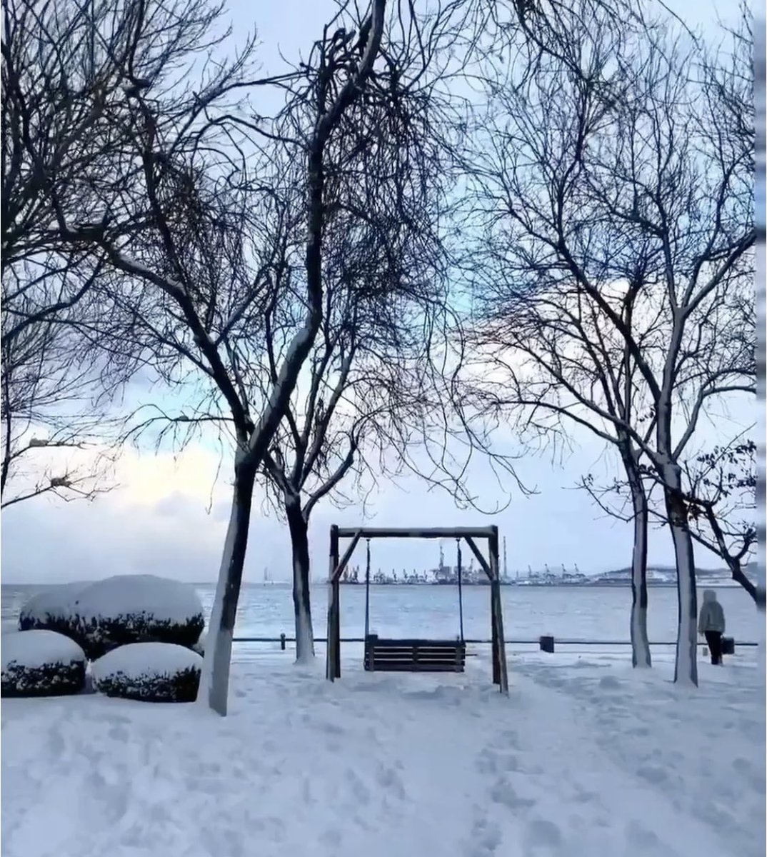 下雪啦❄️❄️❄️