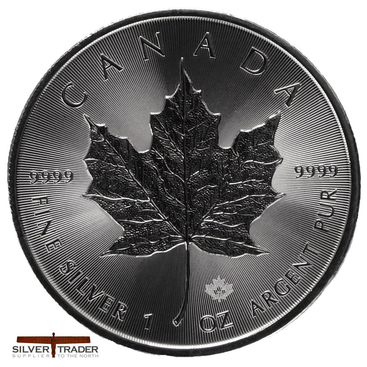 SilverTraderUK's tweet photo. The 2025 #Canadian #Maple_Leaf 1 oz Silver #Bullion #Coin is now available from https://t.co/wqAIFSLNmr https://t.co/H7G1UuFeJ7