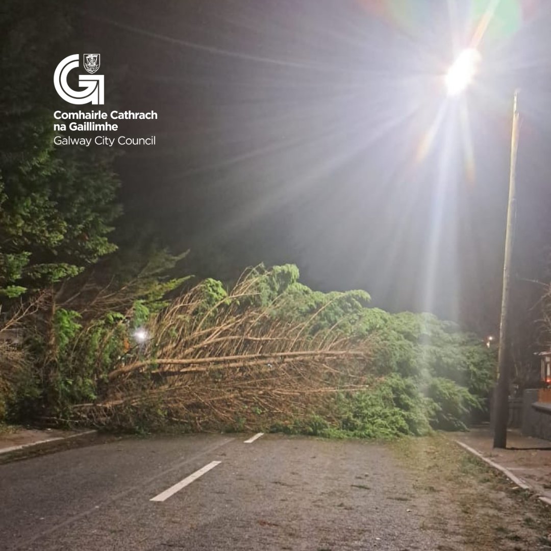 Storm Darragh has passed and our crews are back on duty this morning.
There are reports of 8 trees down in the city – our crews are dealing with these at the moment.
If you come across a fallen tree – don’t deal with it yourself as there may be live electricity wires in the tree.