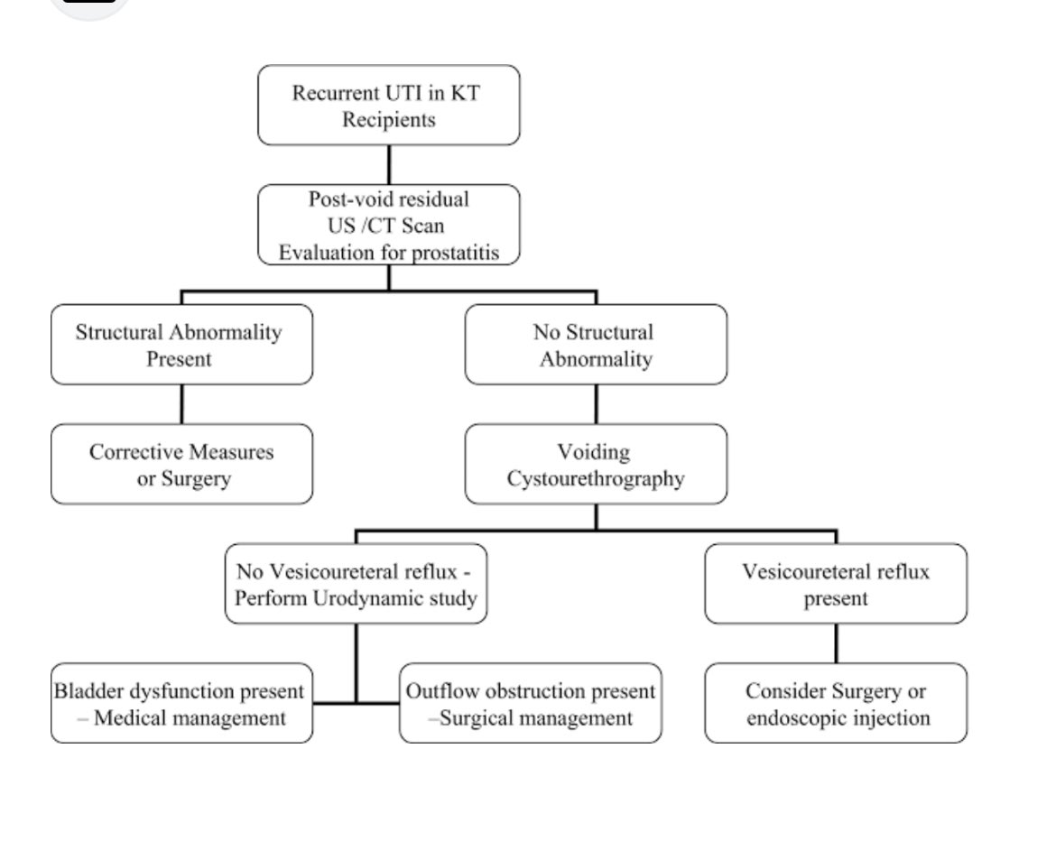 Jasmine Sethi (@jasminenephro) on Twitter photo 😳Evaluation of post renal transplant UTI 
🗣️by Dr Sreejith at #apexpathshala24 😳Evaluation of post renal transplant UTI 
🗣️by Dr Sreejith at #apexpathshala24