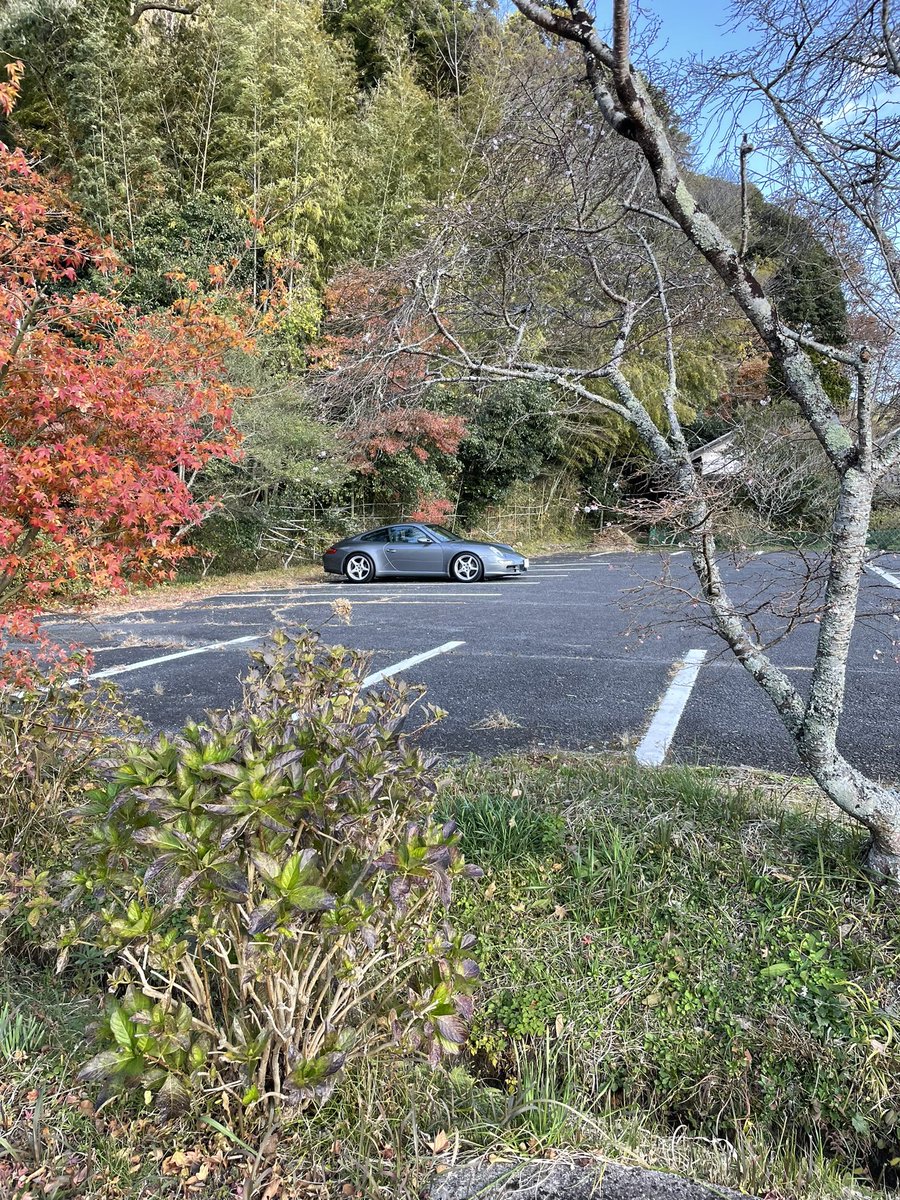 nisukisi's tweet photo. めちゃ寒かったけど、なんとか紅葉に間に合った。 https://t.co/z7biePvMM0