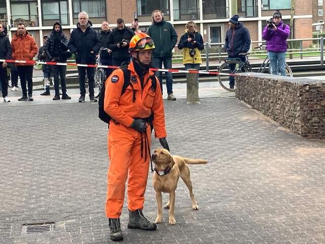 Blussen is gestopt, hond zoekt tussen het puin