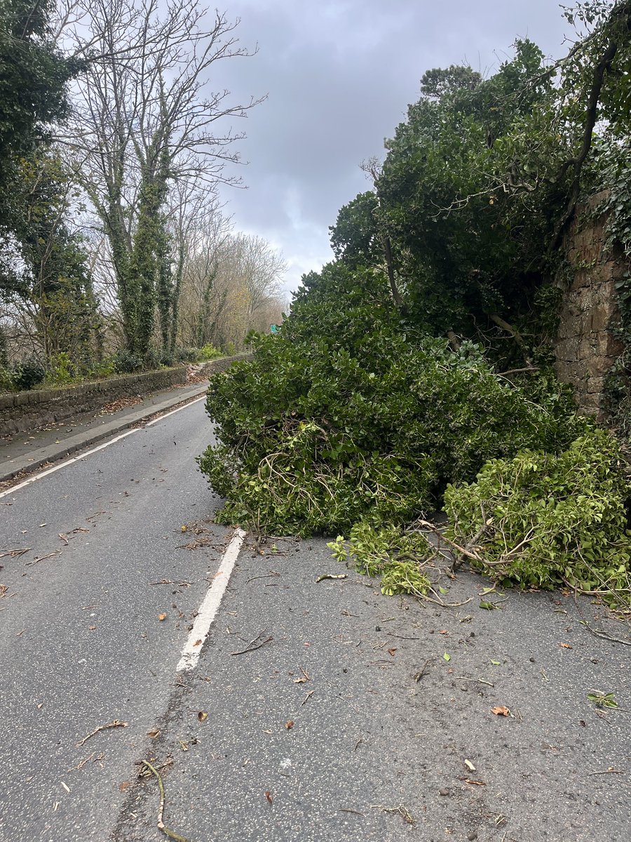 St Peter Honorary Police tweet media