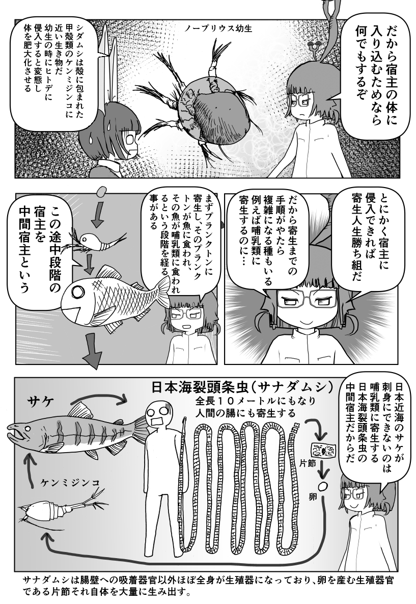 色々と誤解されてそうな動物を漫画で解説していくぞい。 第19回「寄生虫」2/2 #クック先生の動物講座 #寄生虫 #サナダムシ #パラサイト #漫画が読めるハッシュタグ #マンガが読めるハッシュタグ 