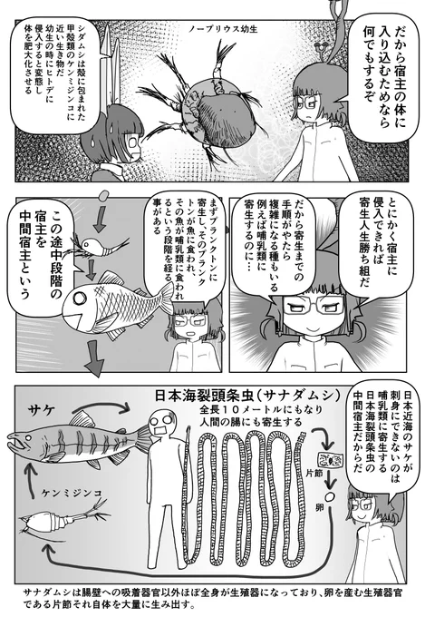 色々と誤解されてそうな動物を漫画で解説していくぞい。 第19回「寄生虫」2/2 #クック先生の動物講座 #寄生虫 #サナダムシ #パラサイト #漫画が読めるハッシュタグ #マンガが読めるハッシュタグ 