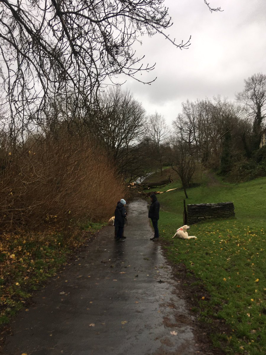 Robert Tunmore tweet media