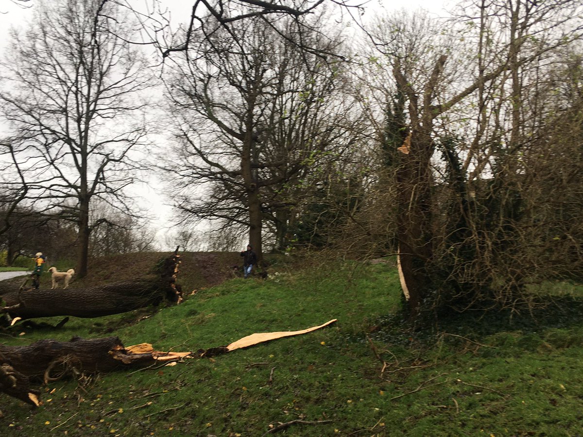 Robert Tunmore tweet media