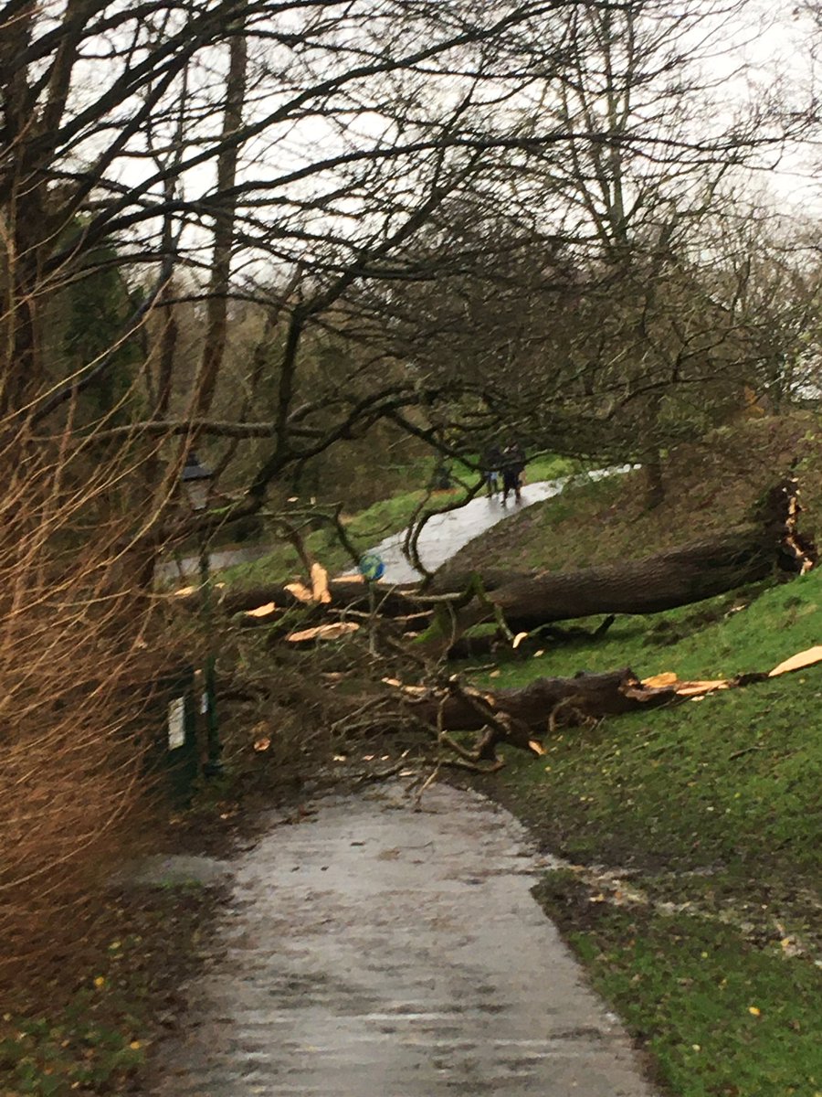 Robert Tunmore tweet media