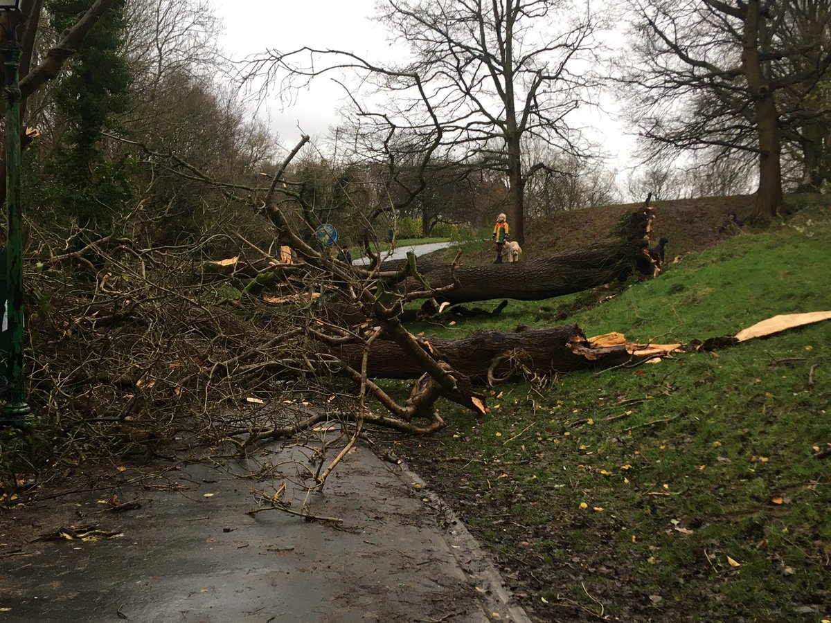 Robert Tunmore tweet media