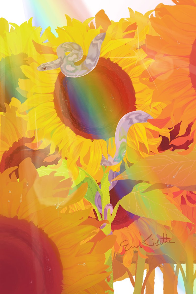 TigrSpoon🐯🥄 tweet media