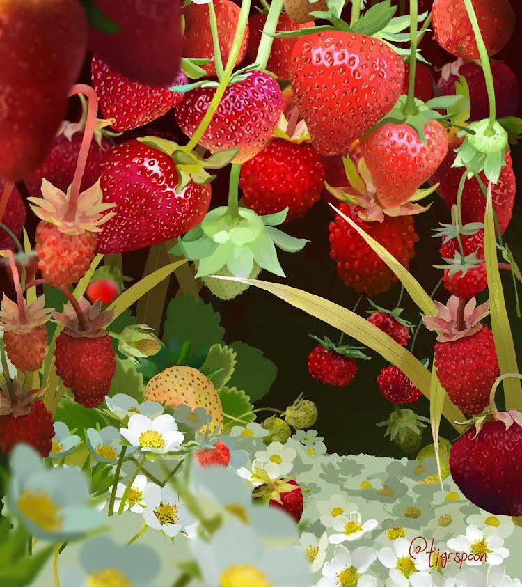 TigrSpoon🐯🥄 tweet media