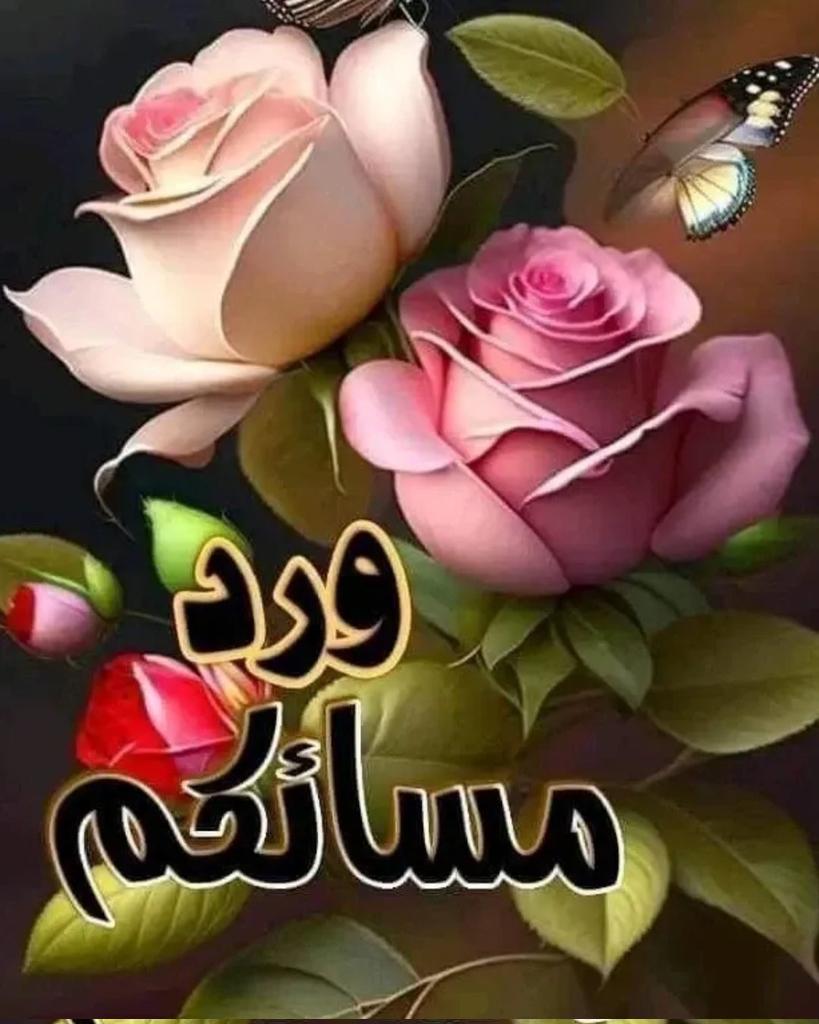Mahmoud45087665's tweet photo. https://t.co/i4JHWKOSQj