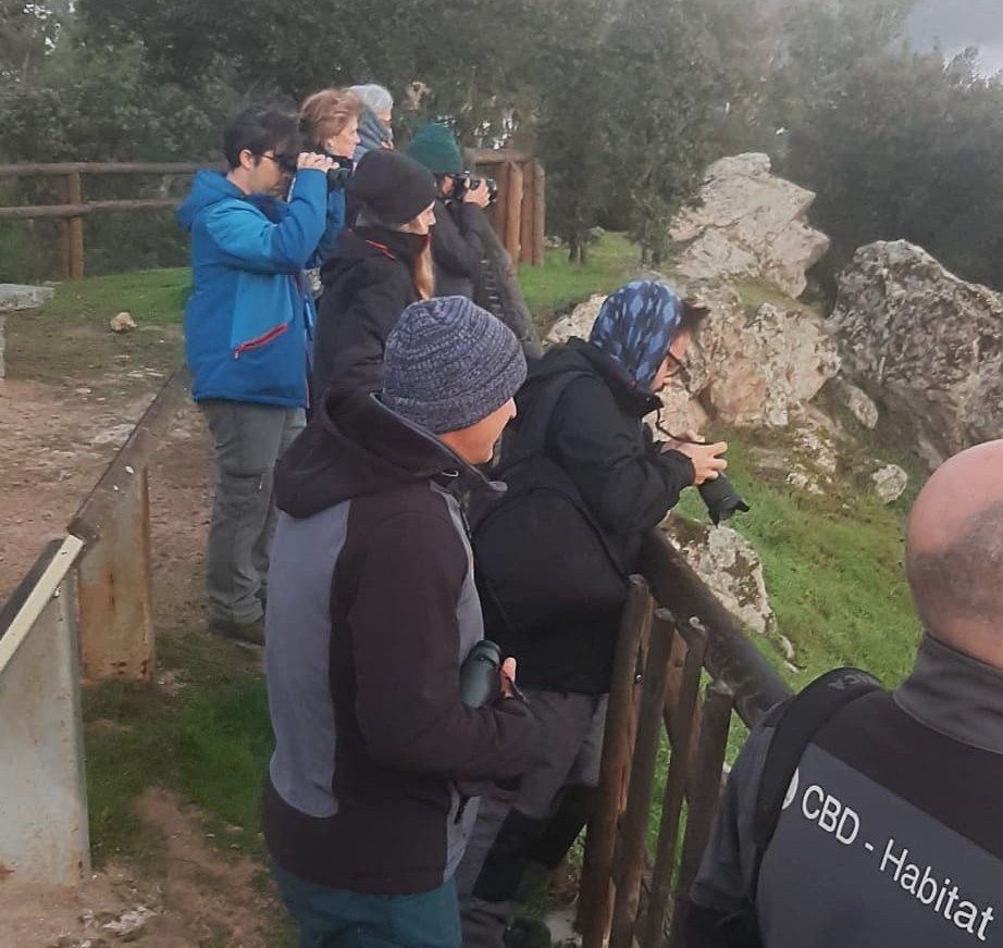 Sábado en #naturewatchjaénterritoriolince . Conocimos diferentes experiencias en torno al lince y  comprobamos que #jaénterritoriolince posee otros enormes atractivos: cabras montesas, ciervos, gamos, águila imperial, buitres negros…
#encuentronaturewatch #jaénparaísointerior