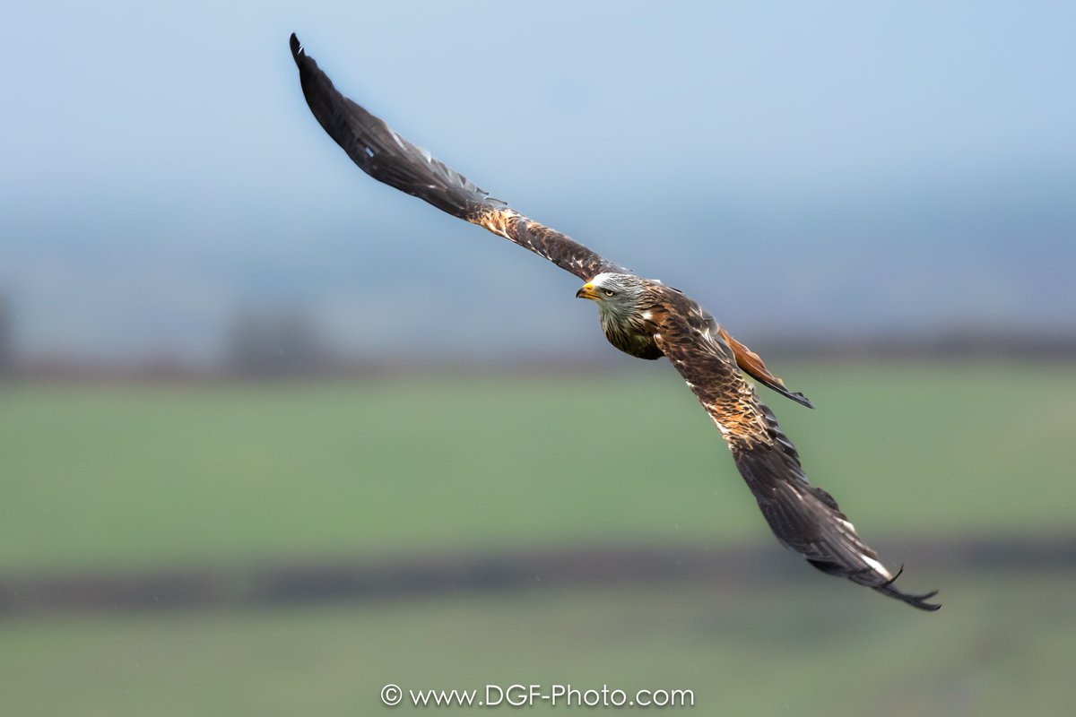 David Sapsford 💙 🇺🇦 (@davidsapsford) on Twitter photo 