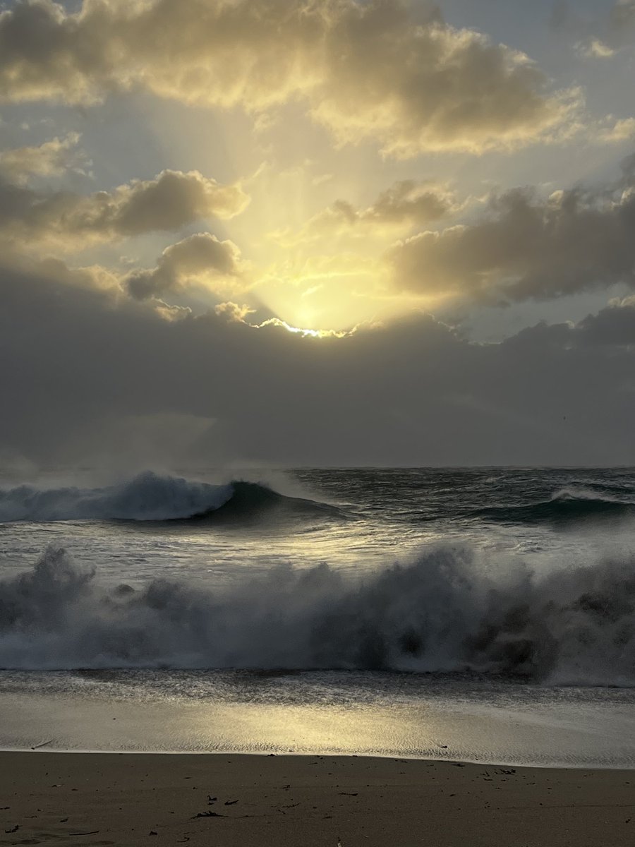 Scott Hamilton tweet media