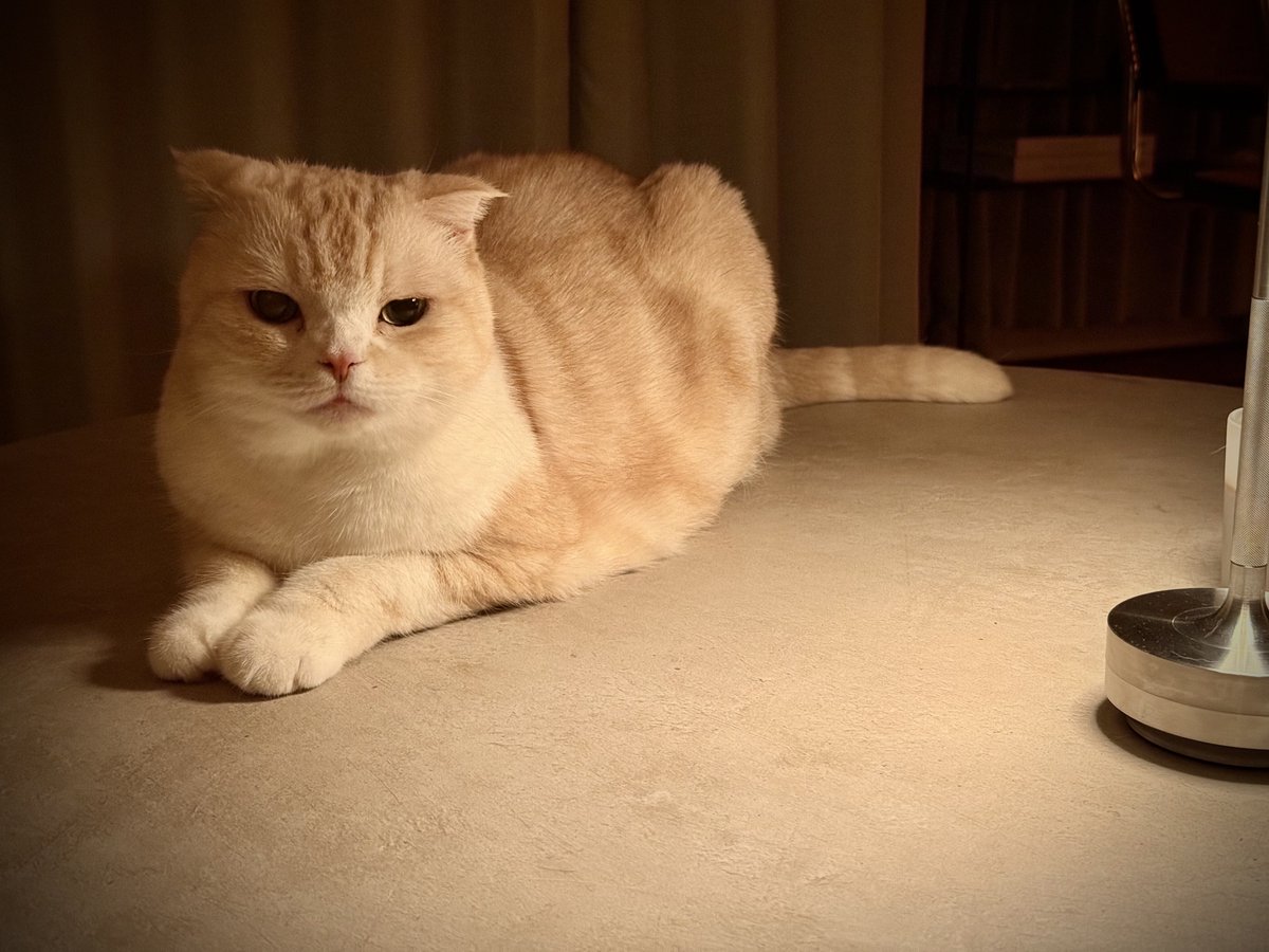 みすじ tweet media