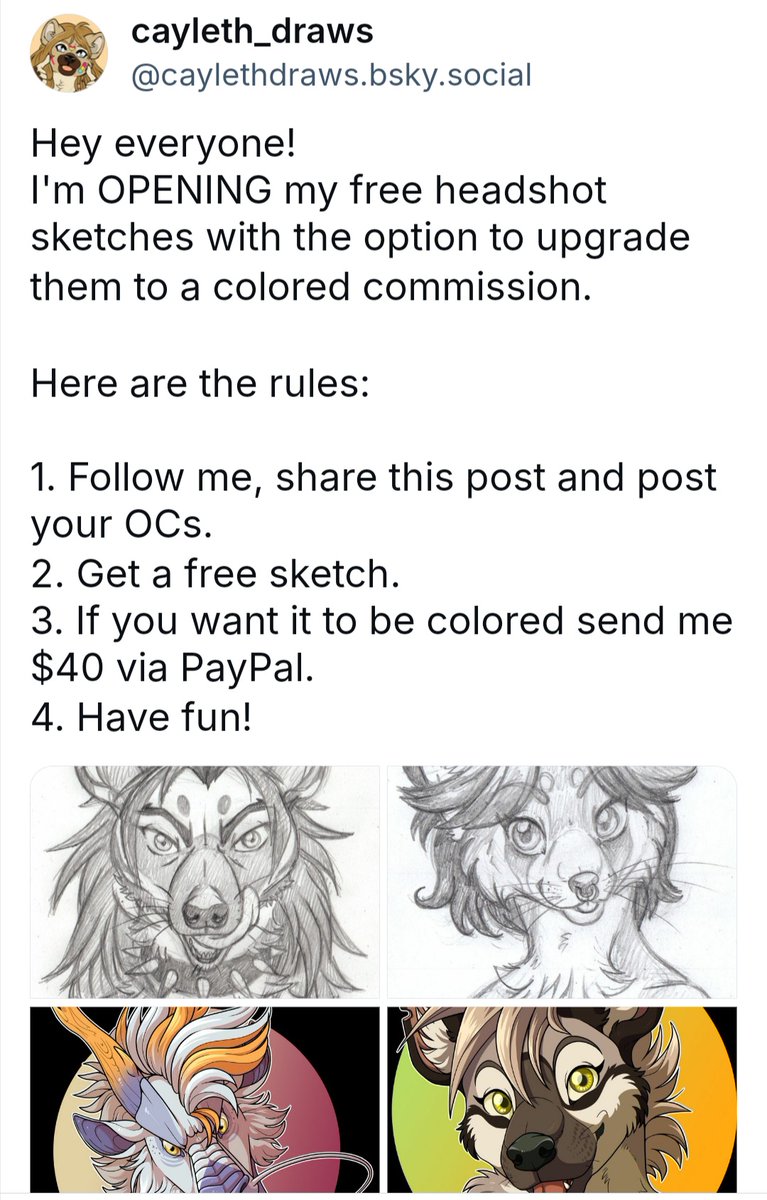 Die Hyänin 🐾 tweet media