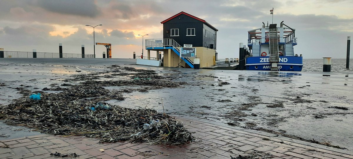 WNapBaukema's tweet photo. Gistermiddag op de steiger in Nes, restanten van het hoge water, aangespoeld wier en vuil #vloedmerk #Ameland #vispluis #mooieluchten #zonsondergang #Zeehond_Ameland https://t.co/e1spTMrw20