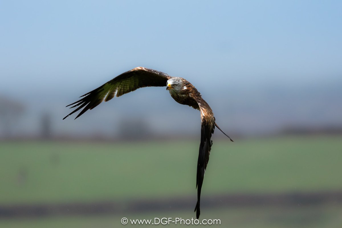 David Sapsford 💙 🇺🇦 (@davidsapsford) on Twitter photo 