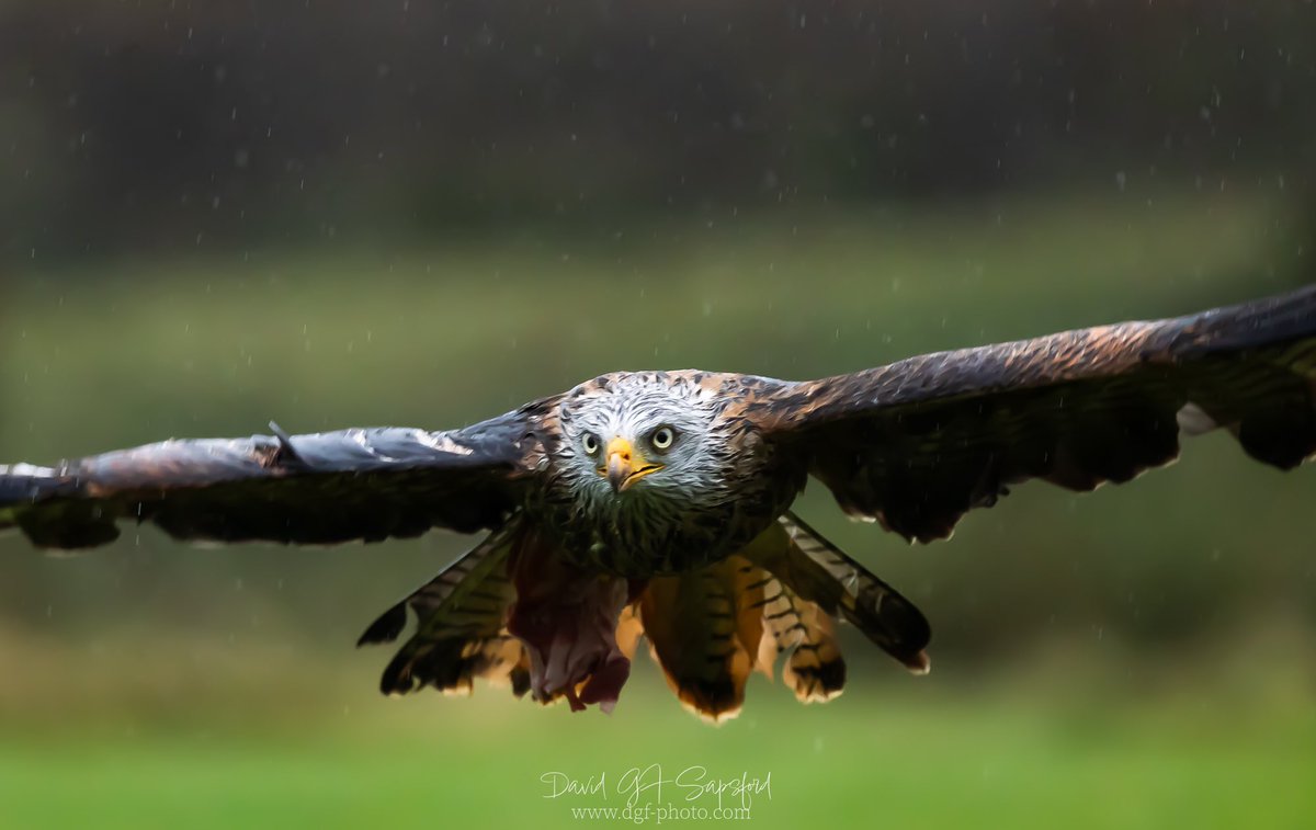 David Sapsford 💙 🇺🇦 (@davidsapsford) on Twitter photo 