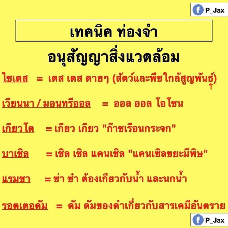 Jax สอนสังคมและภาษาไทย tweet media