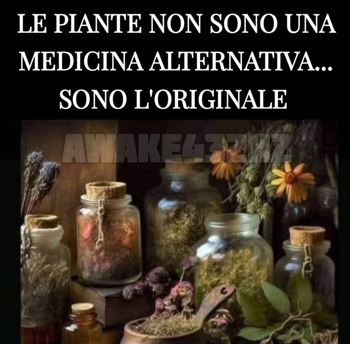 awake432hz's tweet photo. L'ovvio 😏 https://t.co/GdHkmWXFqc