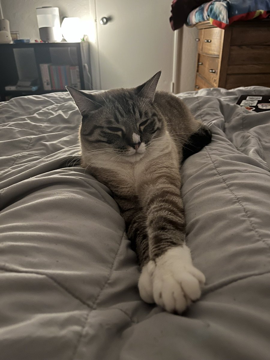 🌼 Daisy Palomino🌻 (@daisy_chanxx) on Twitter photo 