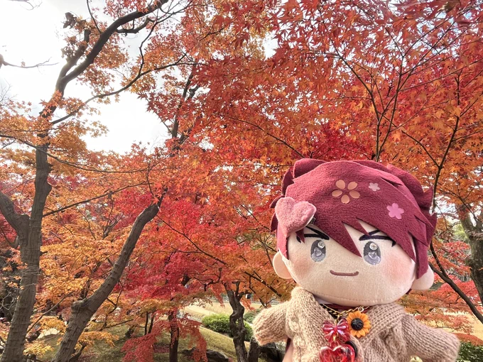 大包平のご実家に ご挨拶行ってきました(?) 楽しかったねぇ岡山遠征。 日帰りだったし長船行けなくてめちゃくちゃ悔しかったけど、また行こうね。