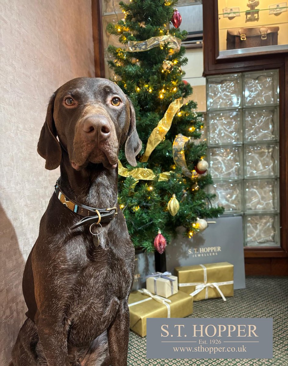 Hoppers Jewellers tweet media