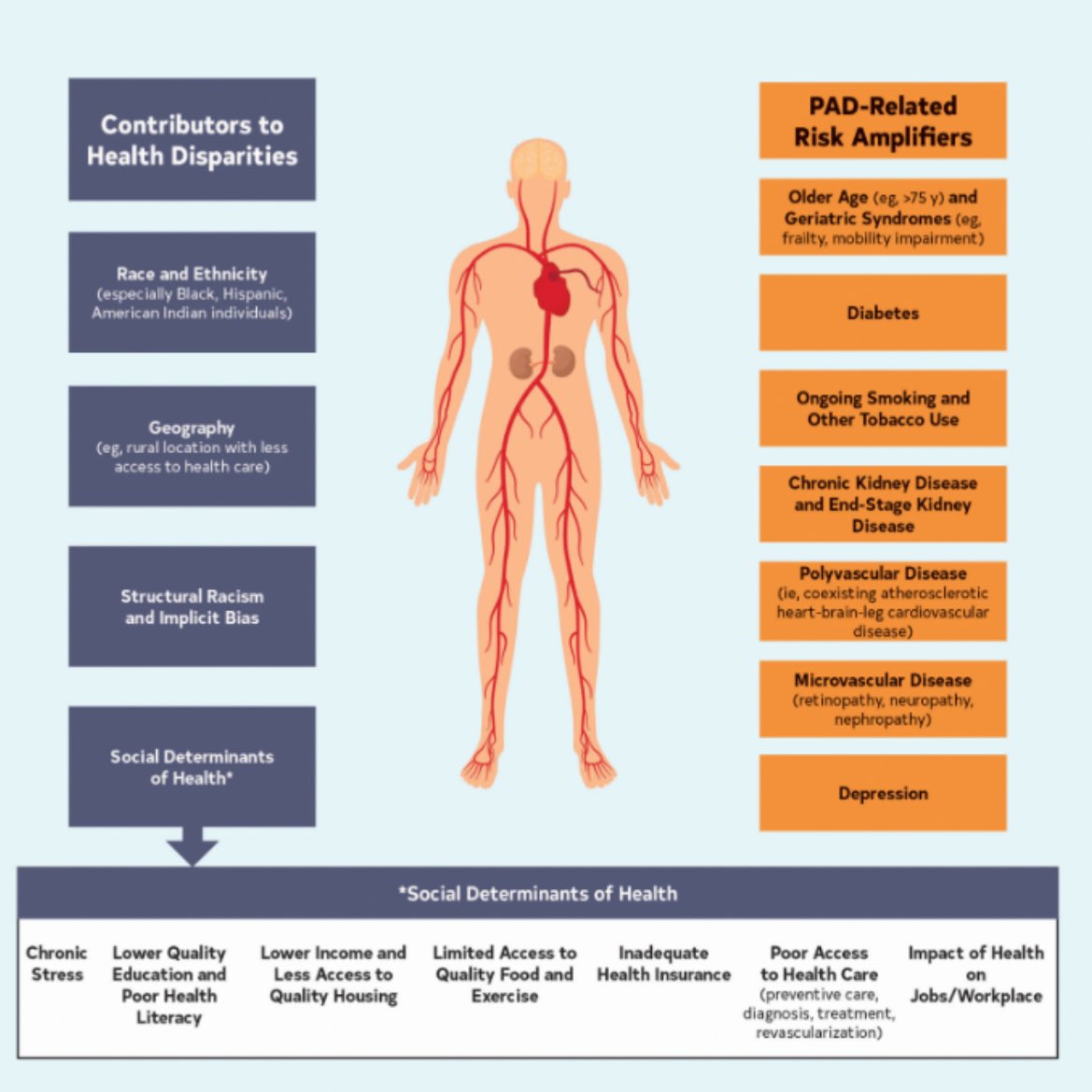Leannejane1975's tweet photo. Great summary of evidence based PAD assessment and interventions including fab table on leg pain differential diagnosis  https://t.co/6mkiryezuC @vascularnurses https://t.co/TTk9OpXkjw