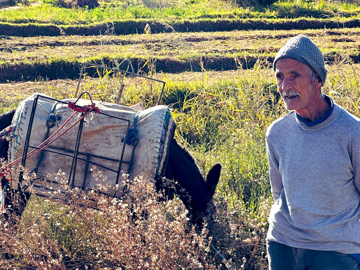 julesserkin's tweet photo. apparently journalists in #Morocco who talk- write about the buying up of small farms by large corporations ( forcing the small farmers out ) get put in jail ? @1GarethWynJones @Beck_Sall @thecoastguy ? #controlthefood #food https://t.co/LpBw7FULY1