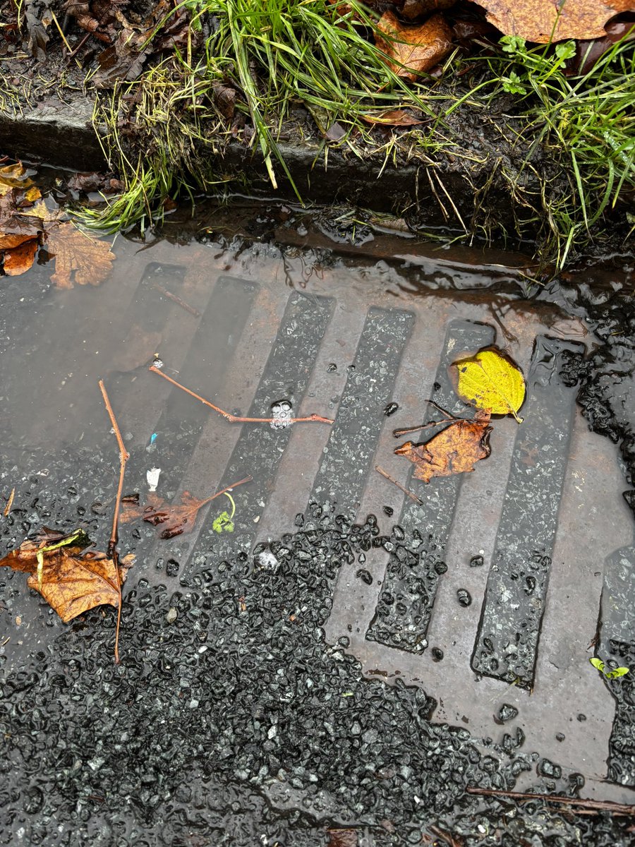 Matt_Millington's tweet photo. @WirralCouncil could still do with you fixing the grids that were tarmac’d when the road was resurfaced. 

It was reported several weeks ago and from what I read you might look at it in months. 

It’s good weather to have drainage 😭🌧️ https://t.co/Do0n0lYLCI