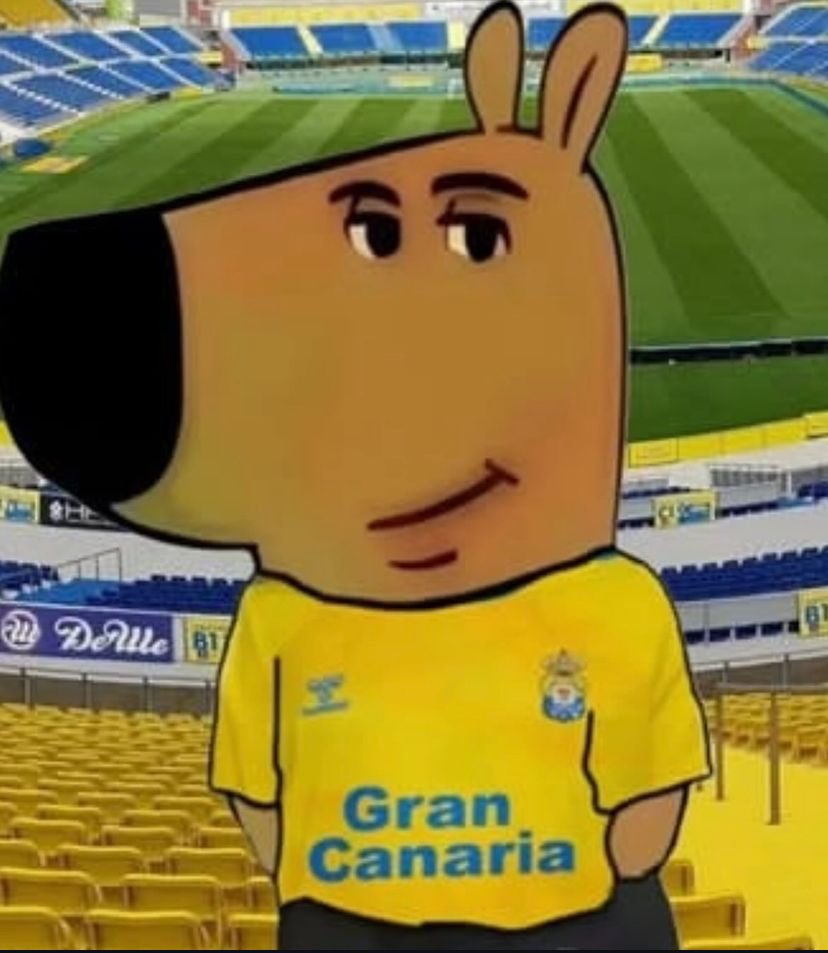 Hoy juega Las Palmas. Ojalá poder estar tan de chill como el perro….