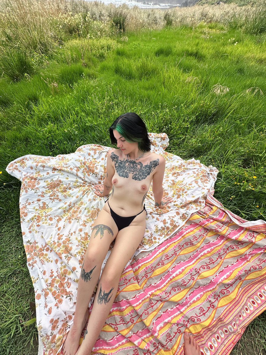 Someone told me this would be perfect as a wallpaper for their phone ehe c: 
Do you agree? 

#fyppppppppppppppppppppppp #beach #NewZealand