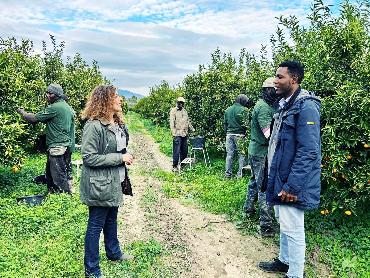 No_Cap_'s tweet photo. Dopo la stagione estiva dei #pomodori in Puglia, ci siamo spostati in #Calabria, dov'è in corso la raccolta invernale degli agrumi.
Seguiamo così il percorso dei lavoratori stagionali, in modo da non dare tregua ai #caporali. (1/2) https://t.co/0u1y0IZug6