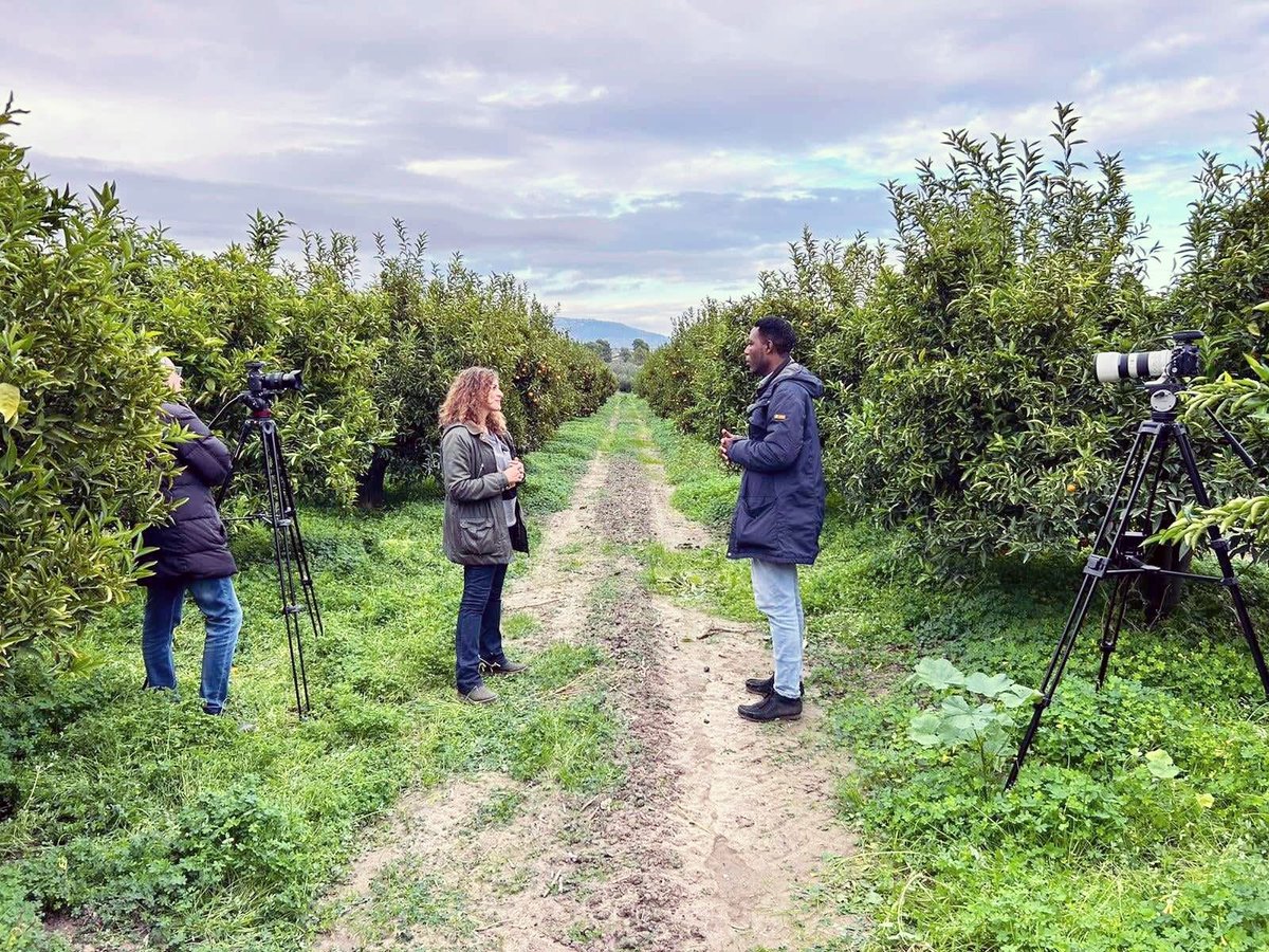 No_Cap_'s tweet photo. Dopo la stagione estiva dei #pomodori in Puglia, ci siamo spostati in #Calabria, dov'è in corso la raccolta invernale degli agrumi.
Seguiamo così il percorso dei lavoratori stagionali, in modo da non dare tregua ai #caporali. (1/2) https://t.co/0u1y0IZug6