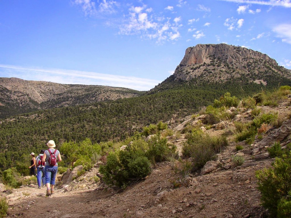 La_Carrasca's tweet image. 🌲 ¡Despedimos el año senderista en Sierra Espuña! 🥾✨
📅 Domingo, 15 de diciembre
📩 Más info y reservas aquí 👉 lacarrascaorg.wordpress.com/2024/12/09/sie…
¡No te lo pierdas, te esperamos! 🙌
#LaCarrasca #Lorca #Senderismo #Naturaleza #Rutas2024 #SierraEspuña
