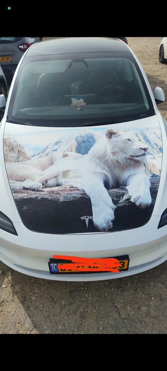 בן אדם רוצה לעבוד במקצוע שלו
