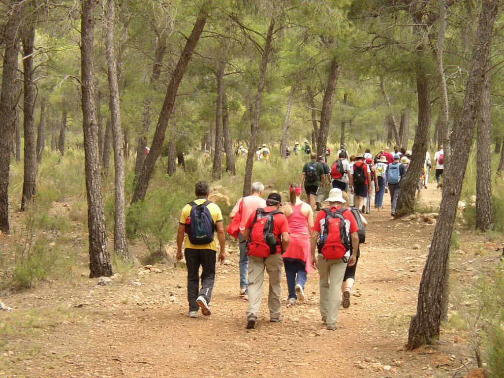 La_Carrasca's tweet image. 🌲 ¡Despedimos el año senderista en Sierra Espuña! 🥾✨
📅 Domingo, 15 de diciembre
📩 Más info y reservas aquí 👉 lacarrascaorg.wordpress.com/2024/12/09/sie…
¡No te lo pierdas, te esperamos! 🙌
#LaCarrasca #Lorca #Senderismo #Naturaleza #Rutas2024 #SierraEspuña