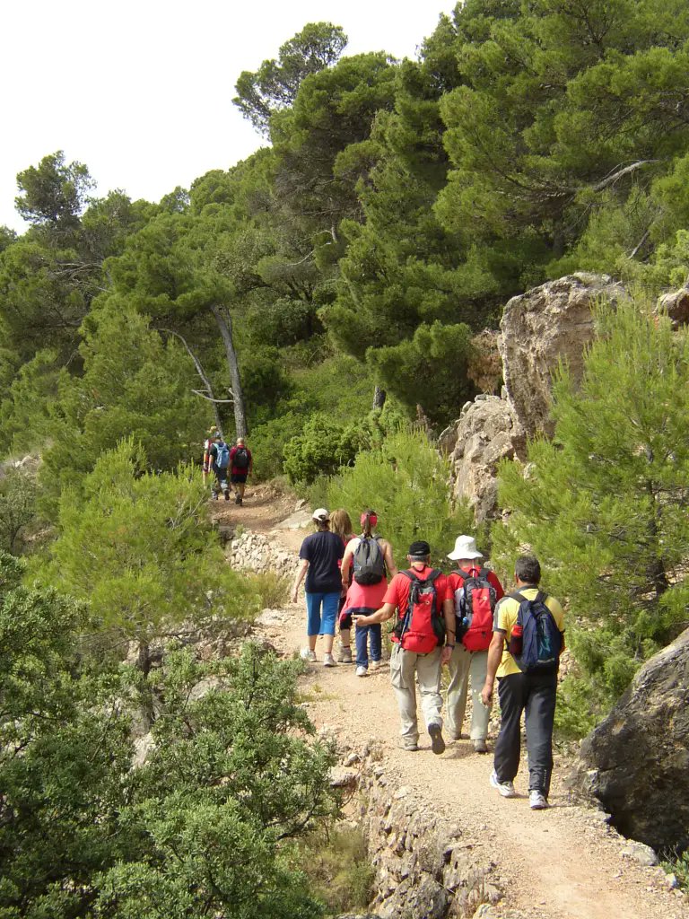 La_Carrasca's tweet image. 🌲 ¡Despedimos el año senderista en Sierra Espuña! 🥾✨
📅 Domingo, 15 de diciembre
📩 Más info y reservas aquí 👉 lacarrascaorg.wordpress.com/2024/12/09/sie…
¡No te lo pierdas, te esperamos! 🙌
#LaCarrasca #Lorca #Senderismo #Naturaleza #Rutas2024 #SierraEspuña