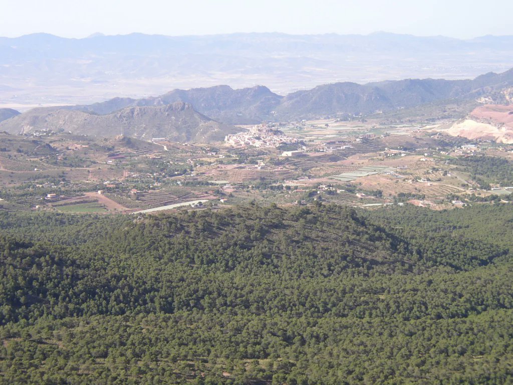 La_Carrasca's tweet image. 🌲 ¡Despedimos el año senderista en Sierra Espuña! 🥾✨
📅 Domingo, 15 de diciembre
📩 Más info y reservas aquí 👉 lacarrascaorg.wordpress.com/2024/12/09/sie…
¡No te lo pierdas, te esperamos! 🙌
#LaCarrasca #Lorca #Senderismo #Naturaleza #Rutas2024 #SierraEspuña