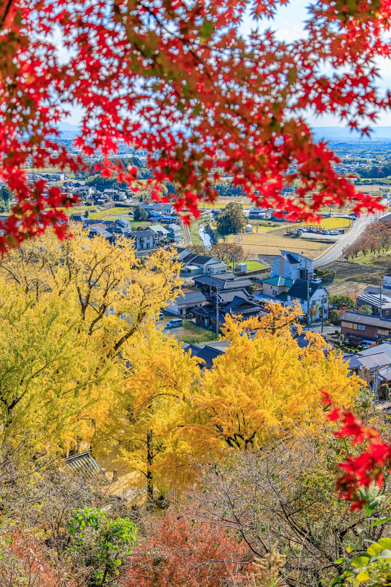 plain_tree's tweet photo. 紅葉🍁

#綾部神社 https://t.co/x9y4McoN9f